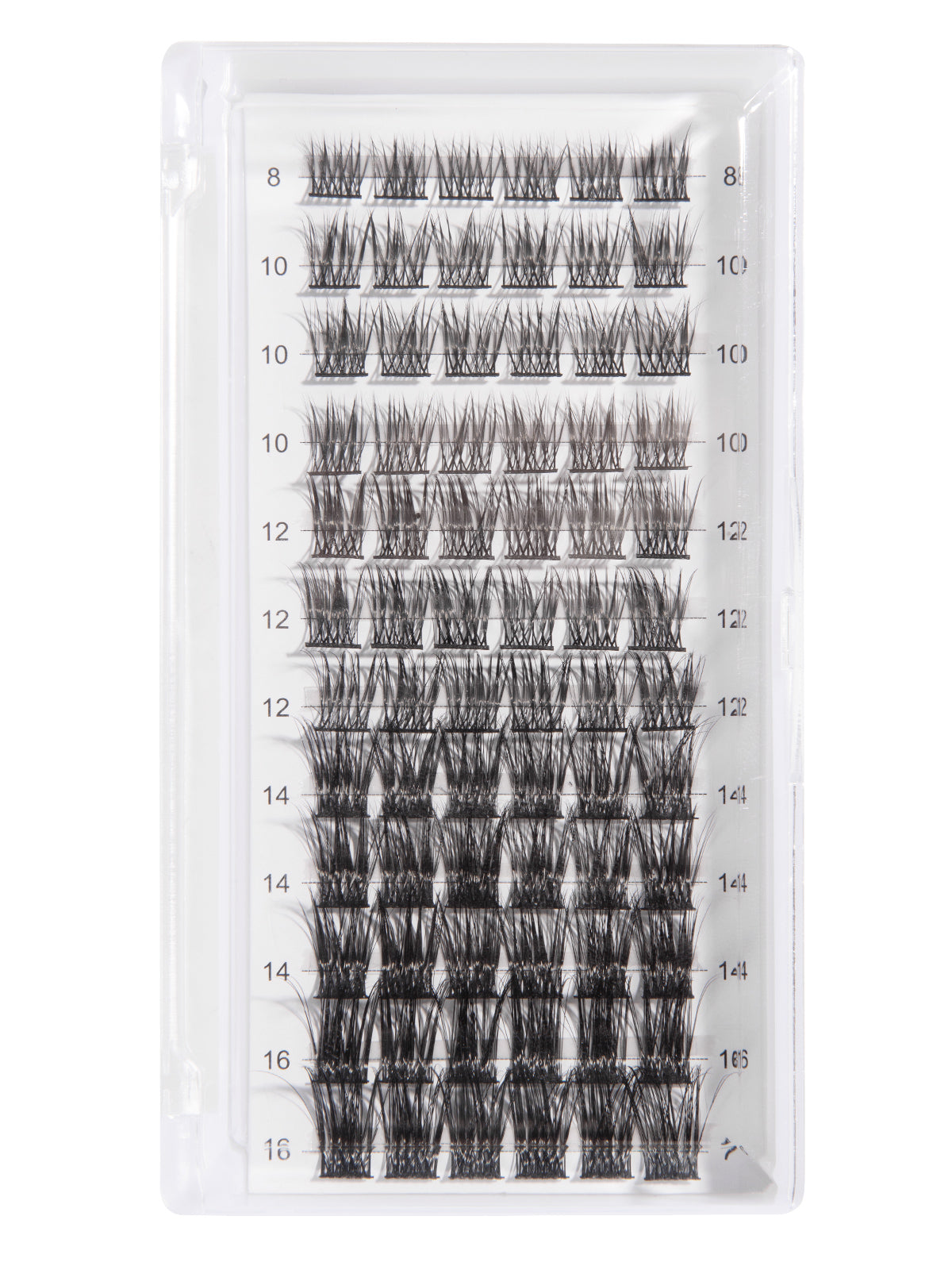 Cluster eyelash